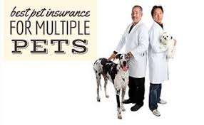 Best Low-cost pet insurance for multiple pets 2024