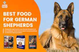 Best Raw Diet for German Shepherds