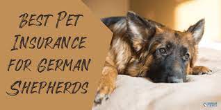 The Importance of German Shepherd Dog Pet Insurance